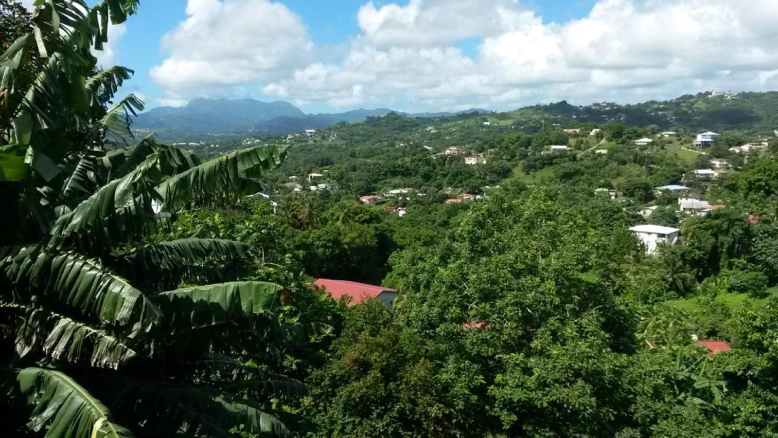Studio Brazilia Bois Et Nature, Terrasse Avec Vue Sur Les Pitons Le Robert Exterior photo